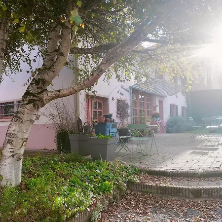 Apartment Les Chanterelles La Souris Des Champs Etival-Clairefontaine