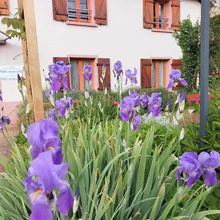 Les Chanterelles La Souris Des Champs * Etival-Clairefontaine