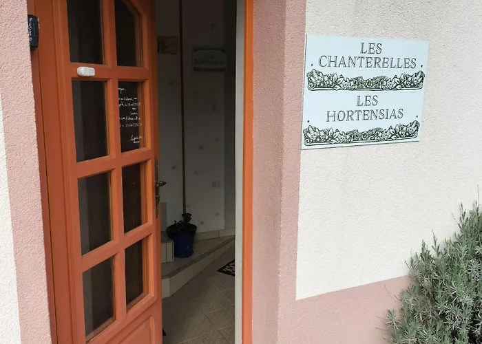 Les Chanterelles La Souris Des Champs